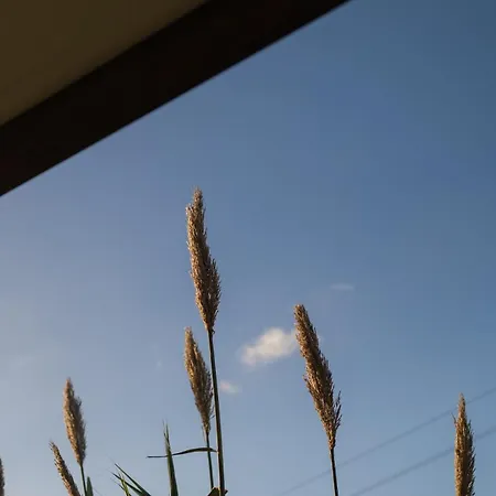 度假居 Casa Aalto - Architectural Cliffside Ocean Retreat 科拉雷斯