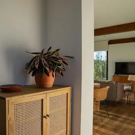 Casa Aalto - Architectural Cliffside Ocean Retreat * קולארס